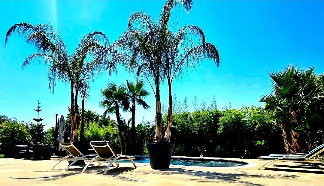 La Villa 155 Superbe Appartement Centre Ville Avec Piscine Mandelieu Apartmán